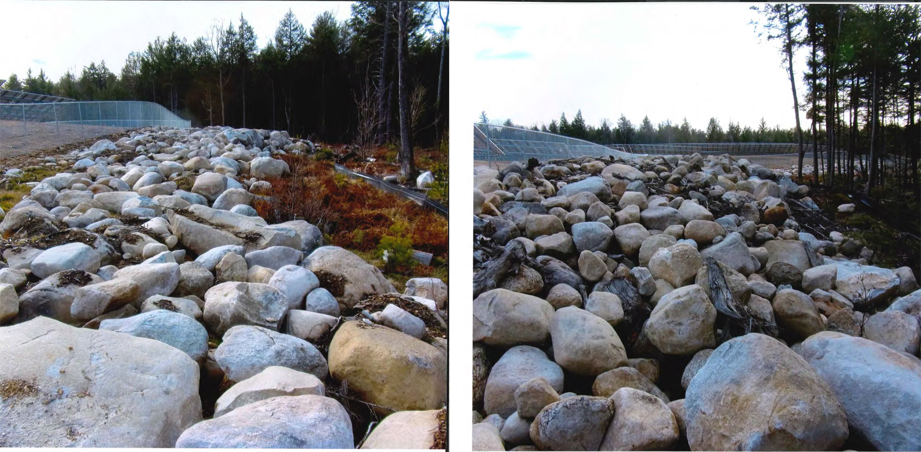 ground level view of rocks