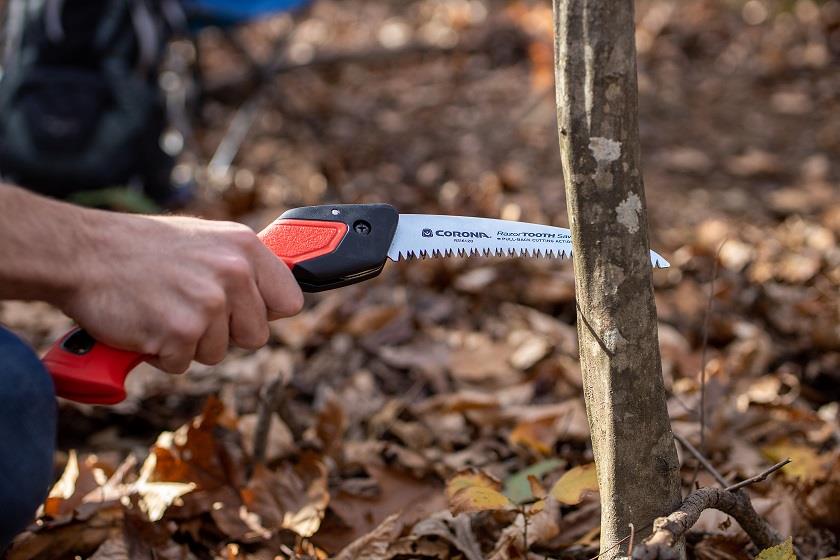 pruning branches with a folding saw
