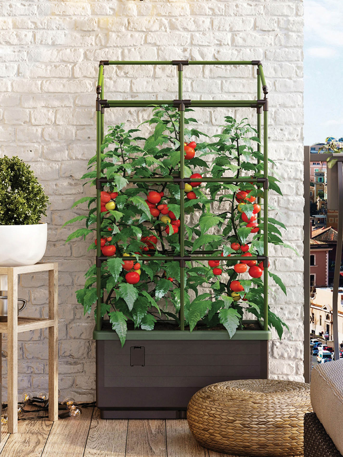 vertical planter for tomatoes