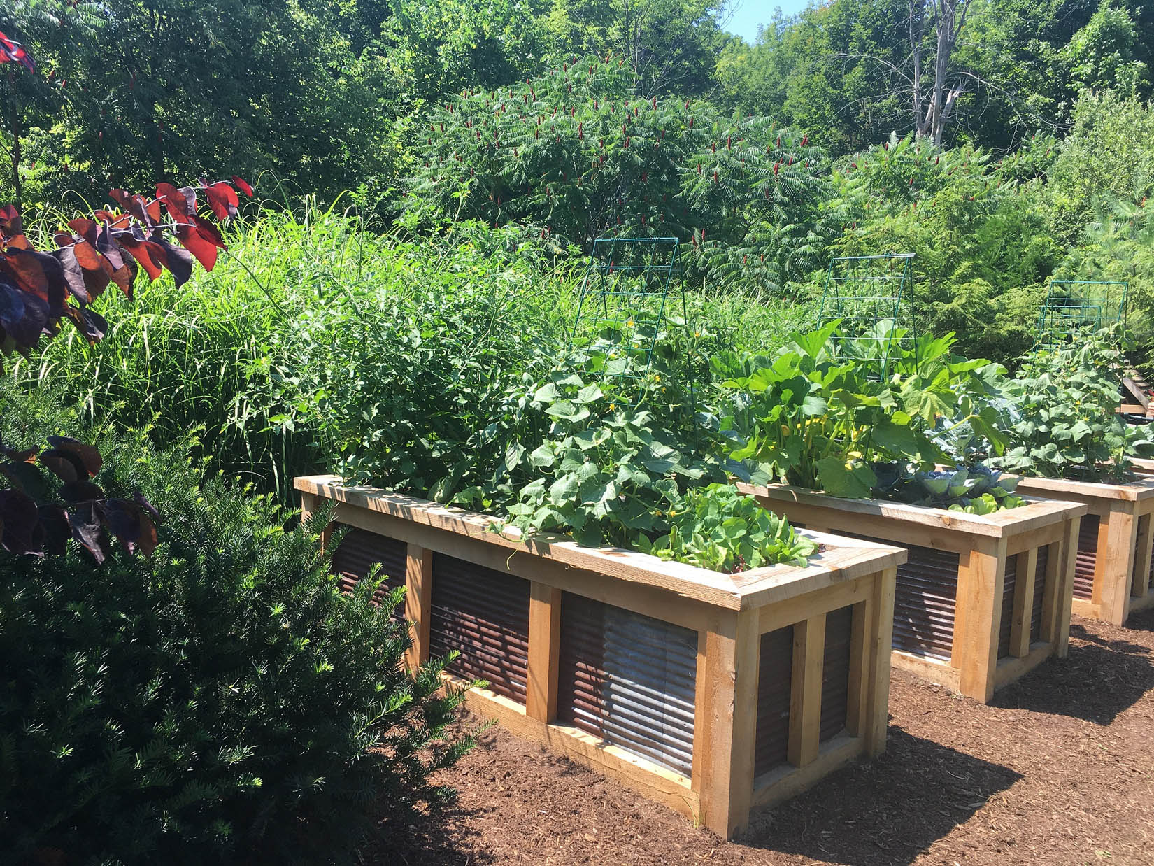 raised bed gardens for productivity