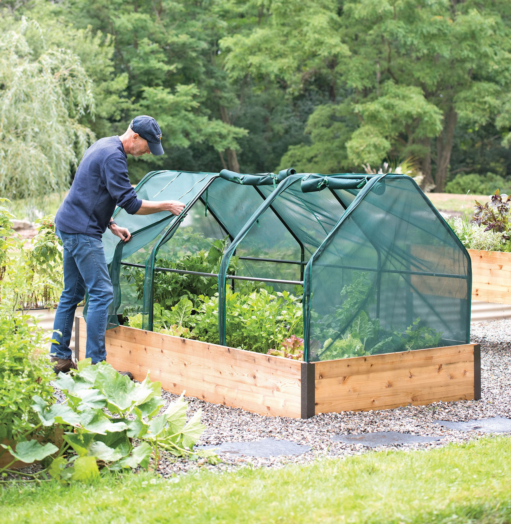 protect plants from pests with shelter