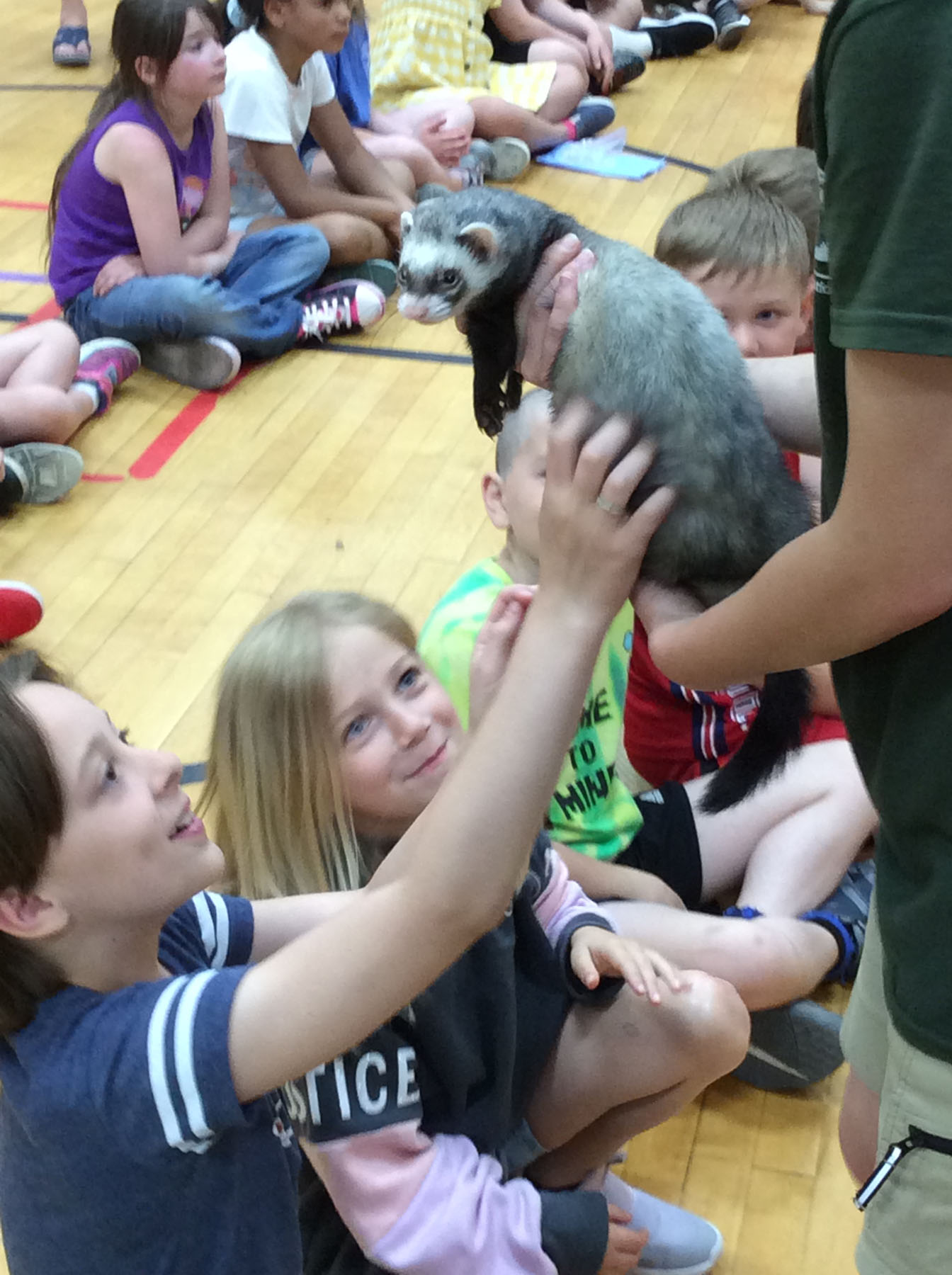 Animal Adventures at Memorial School