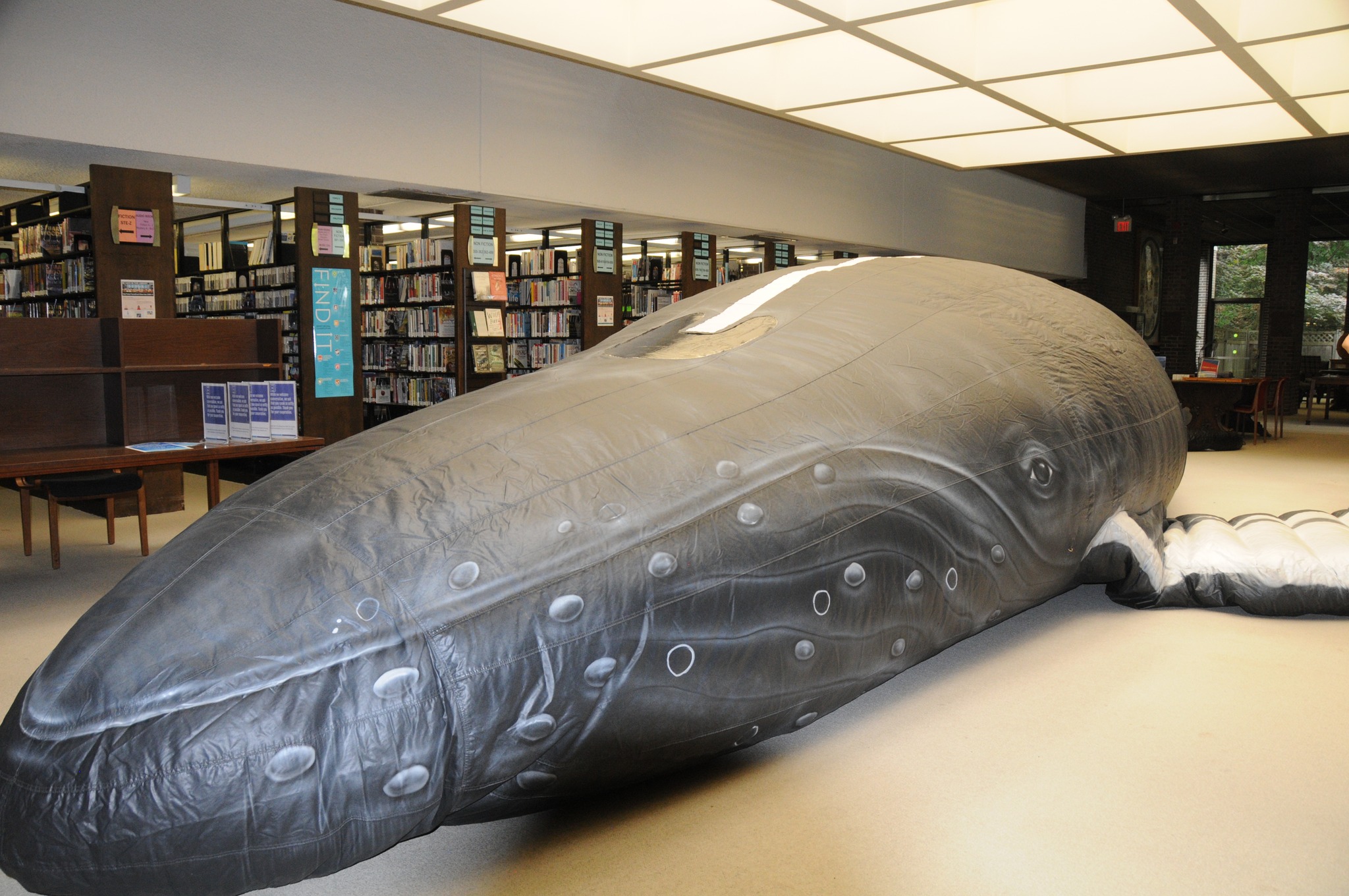 WhaleMobile visits the Beals Library
