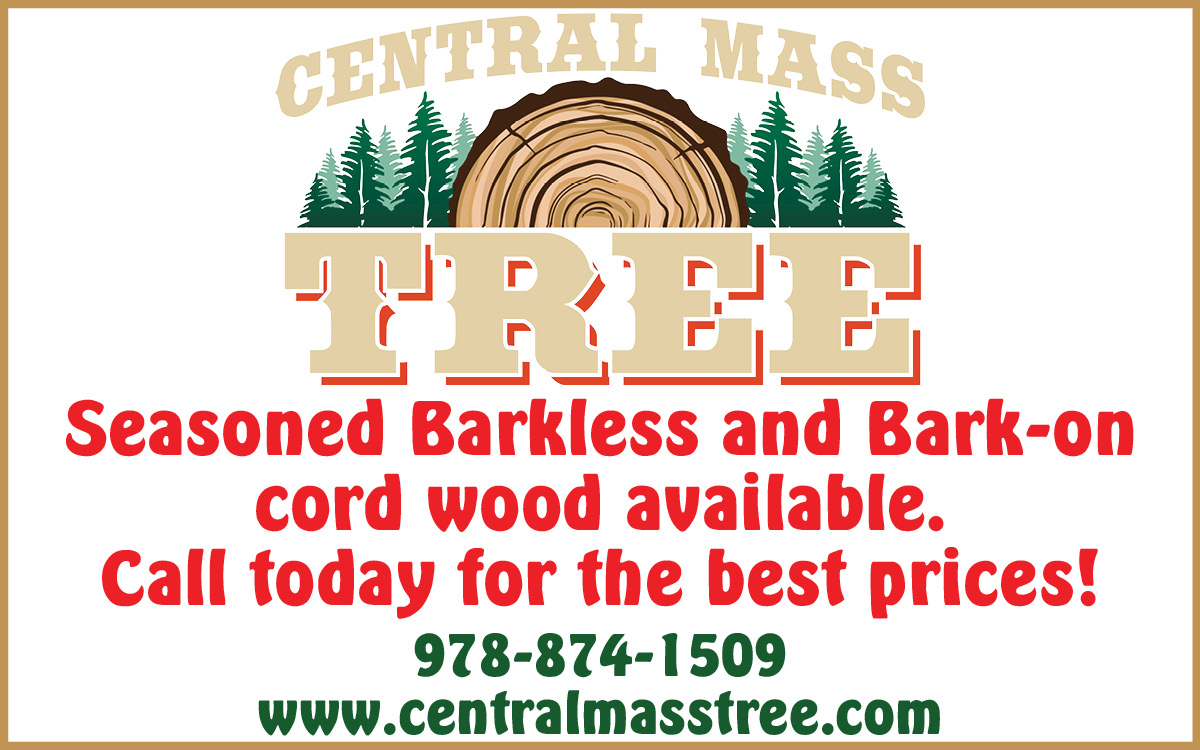 Central Mass Tree