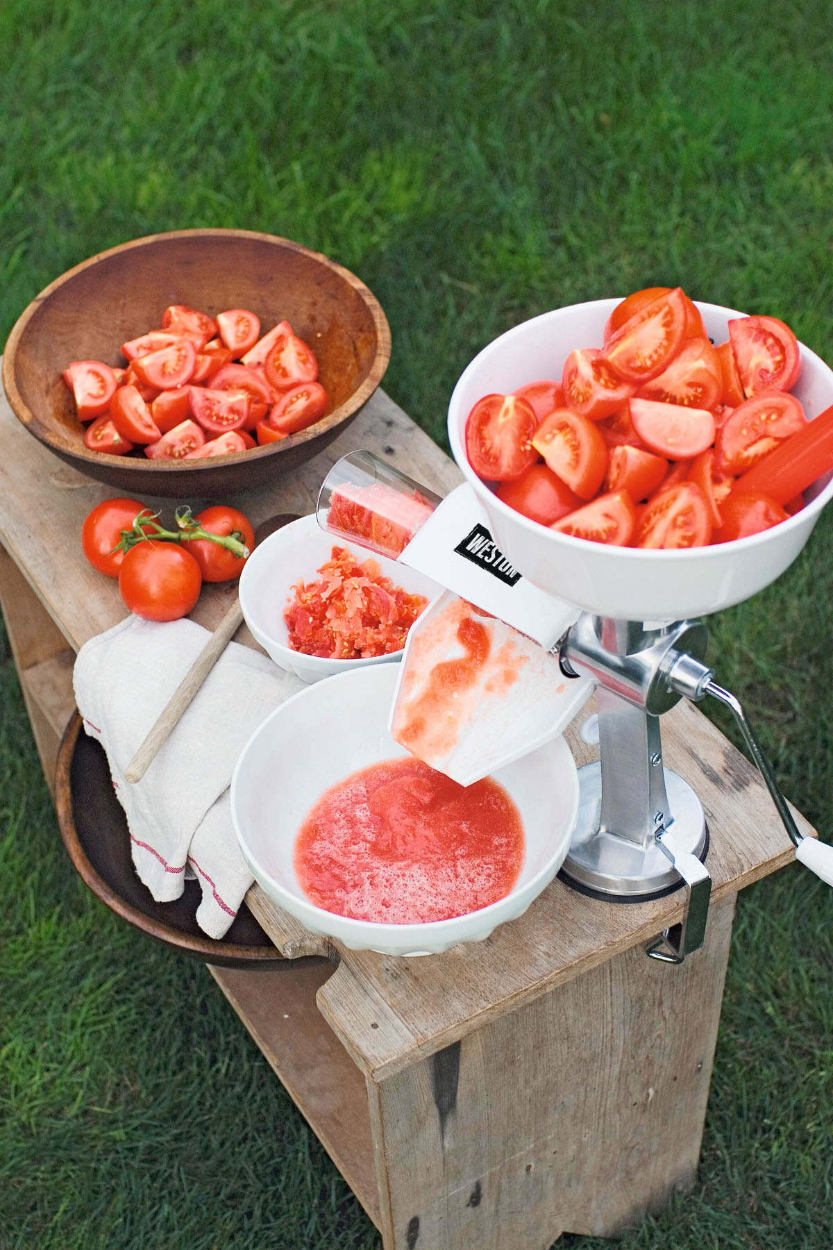 hand-cranked tomato press