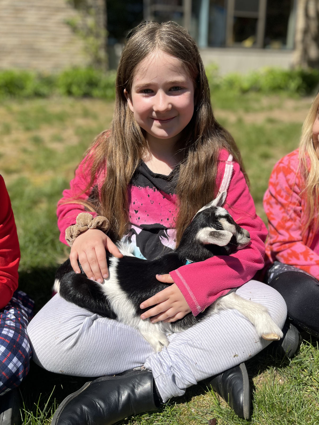 baby goats visit Memorial School