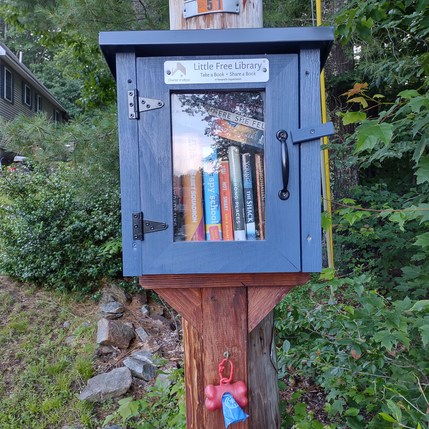 Little Free Library on Lakeview