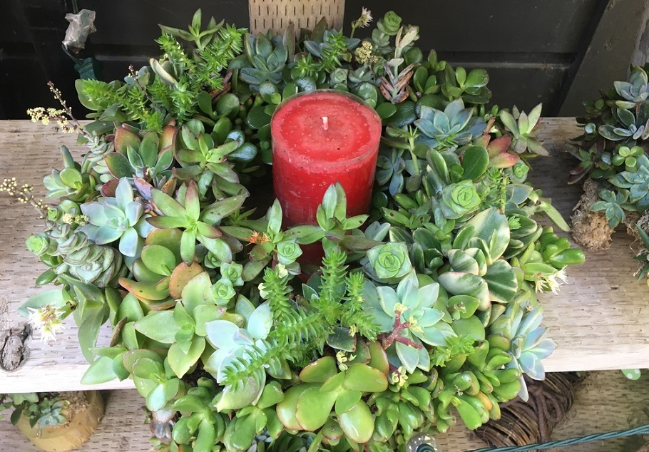 wreath made of succulent plants