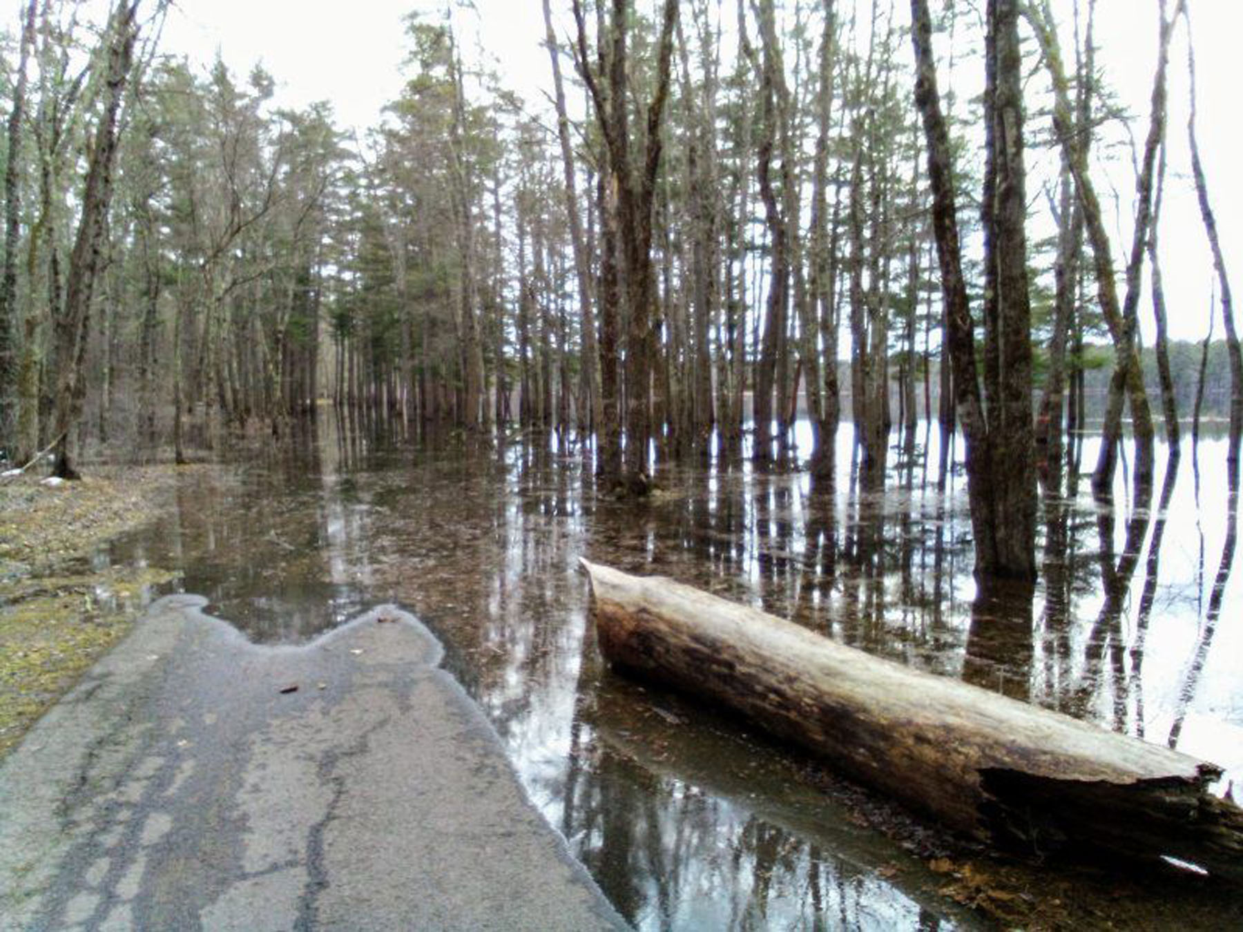 Flooding at Lake Dennison