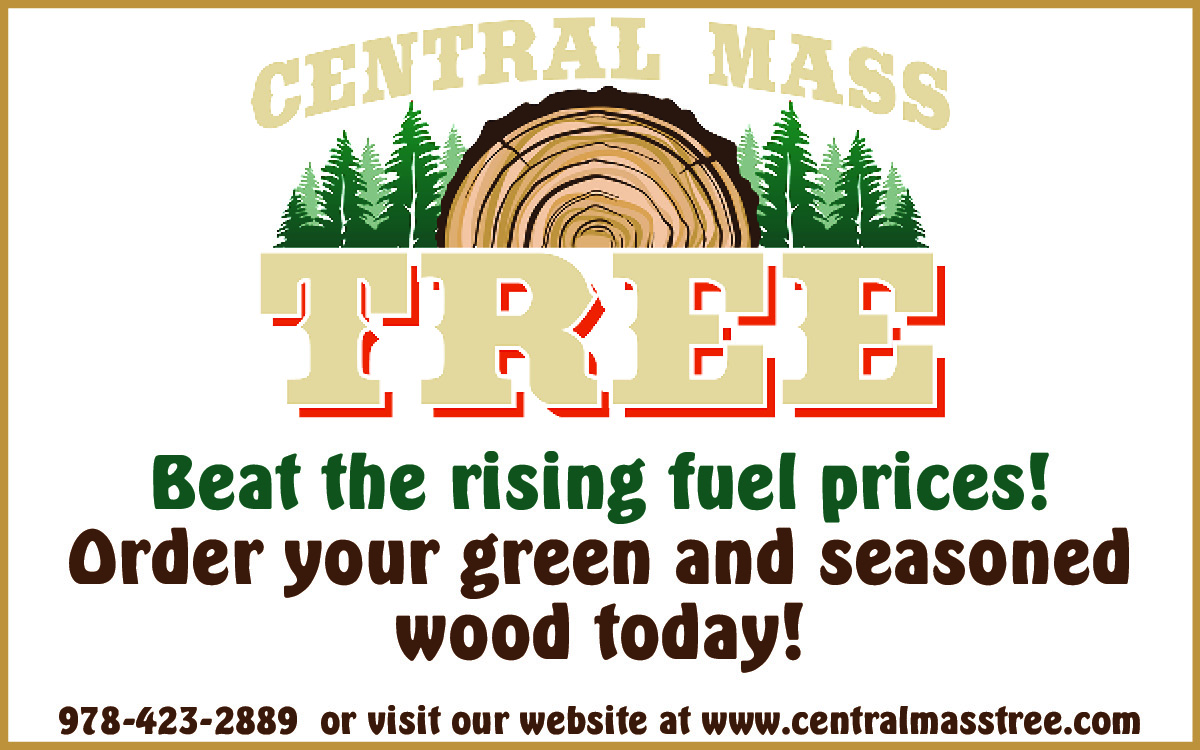 Central Mass Tree