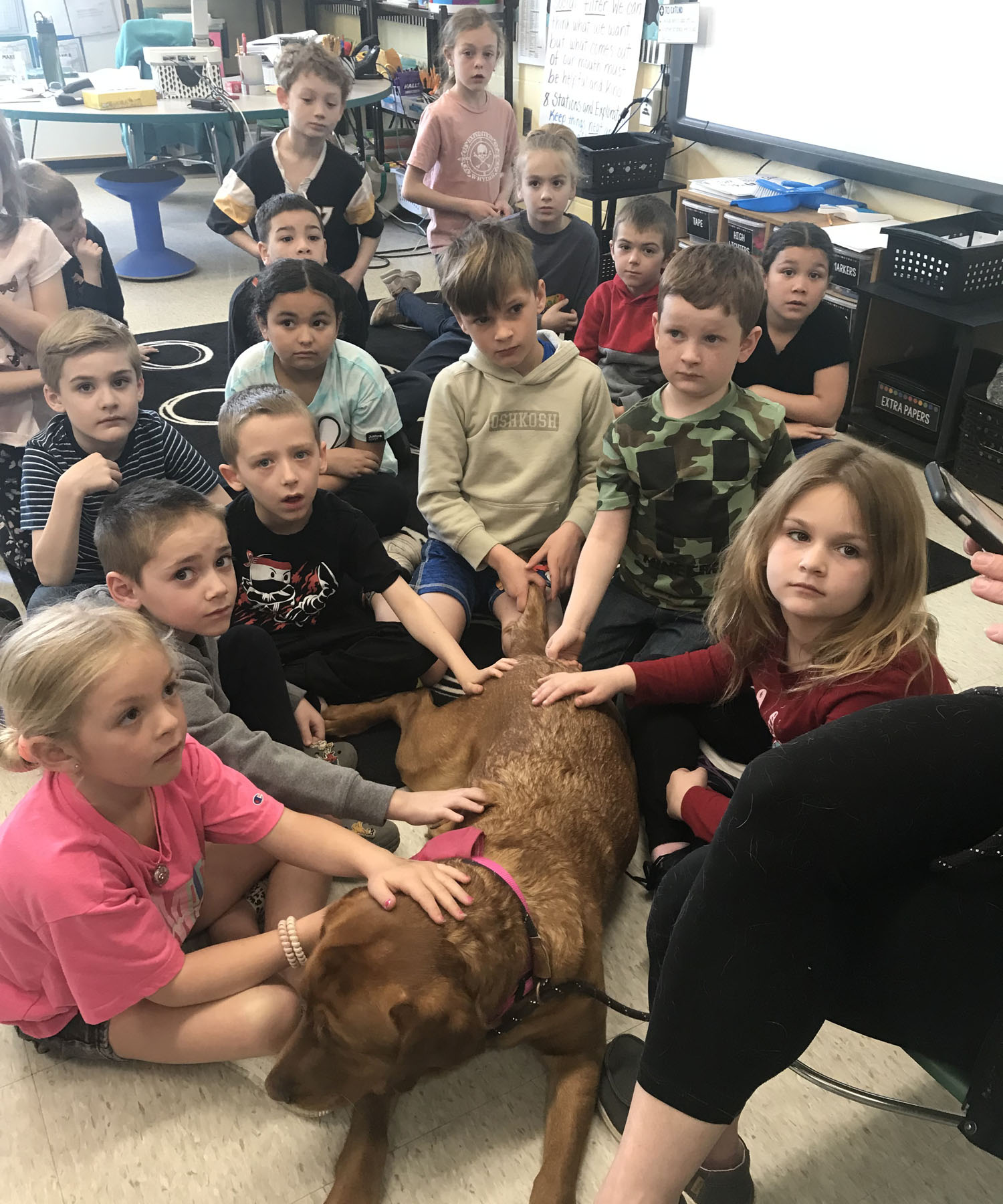 Boonefield Labradors visit Memorial
