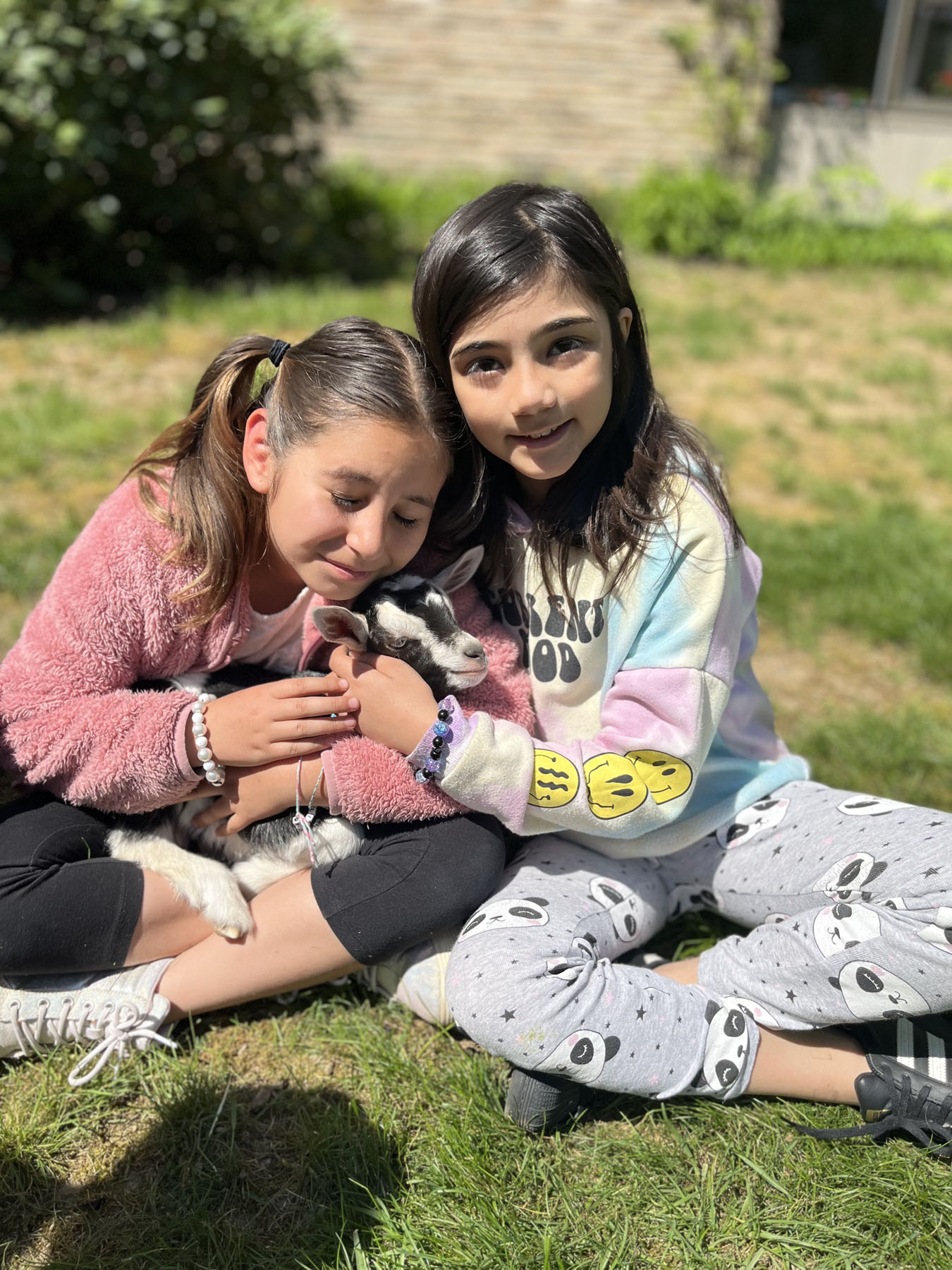 baby goats visit Memorial School