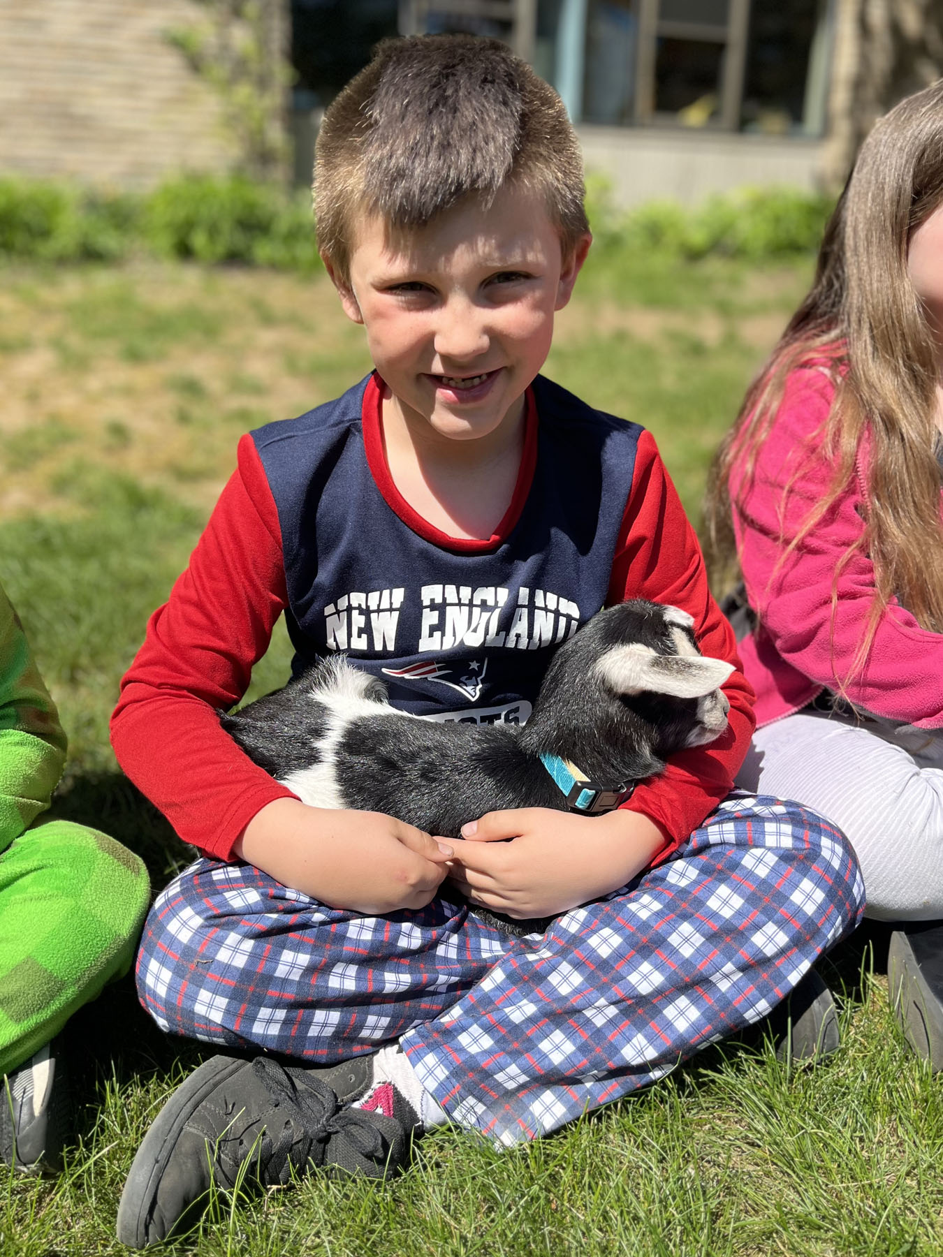 baby goats visit Memorial School