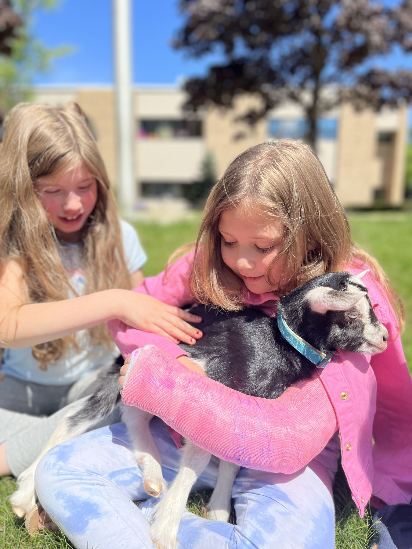 baby goats visit Memorial School