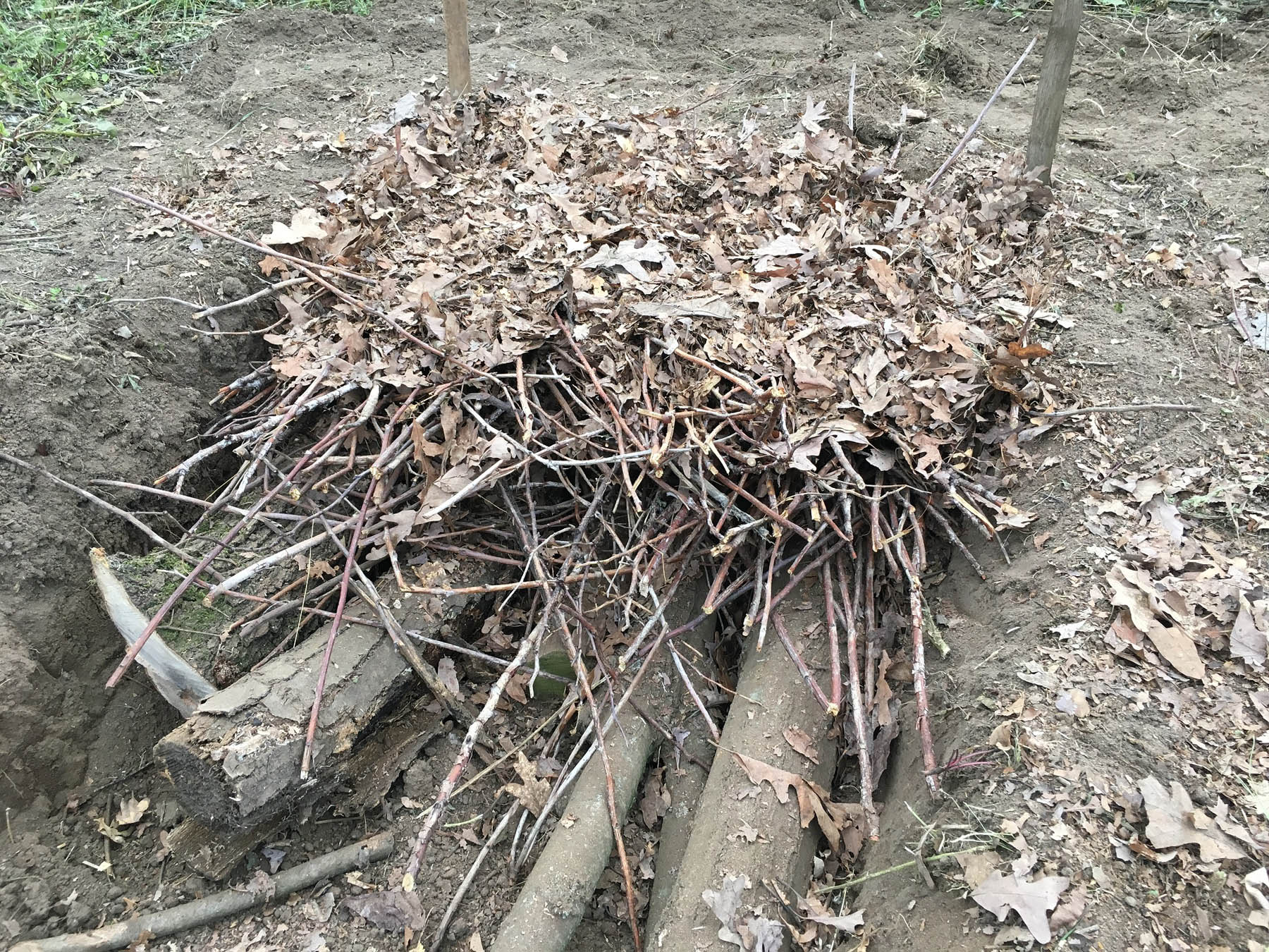 Hugelkultur soil layers