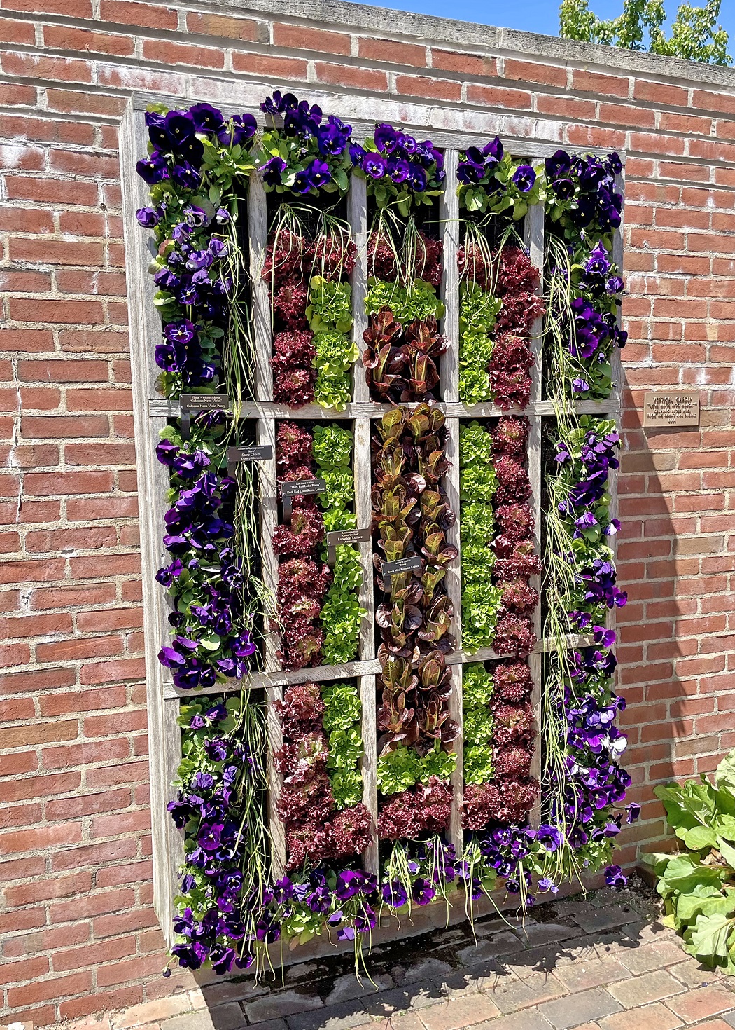 A vertical garden in a planter
