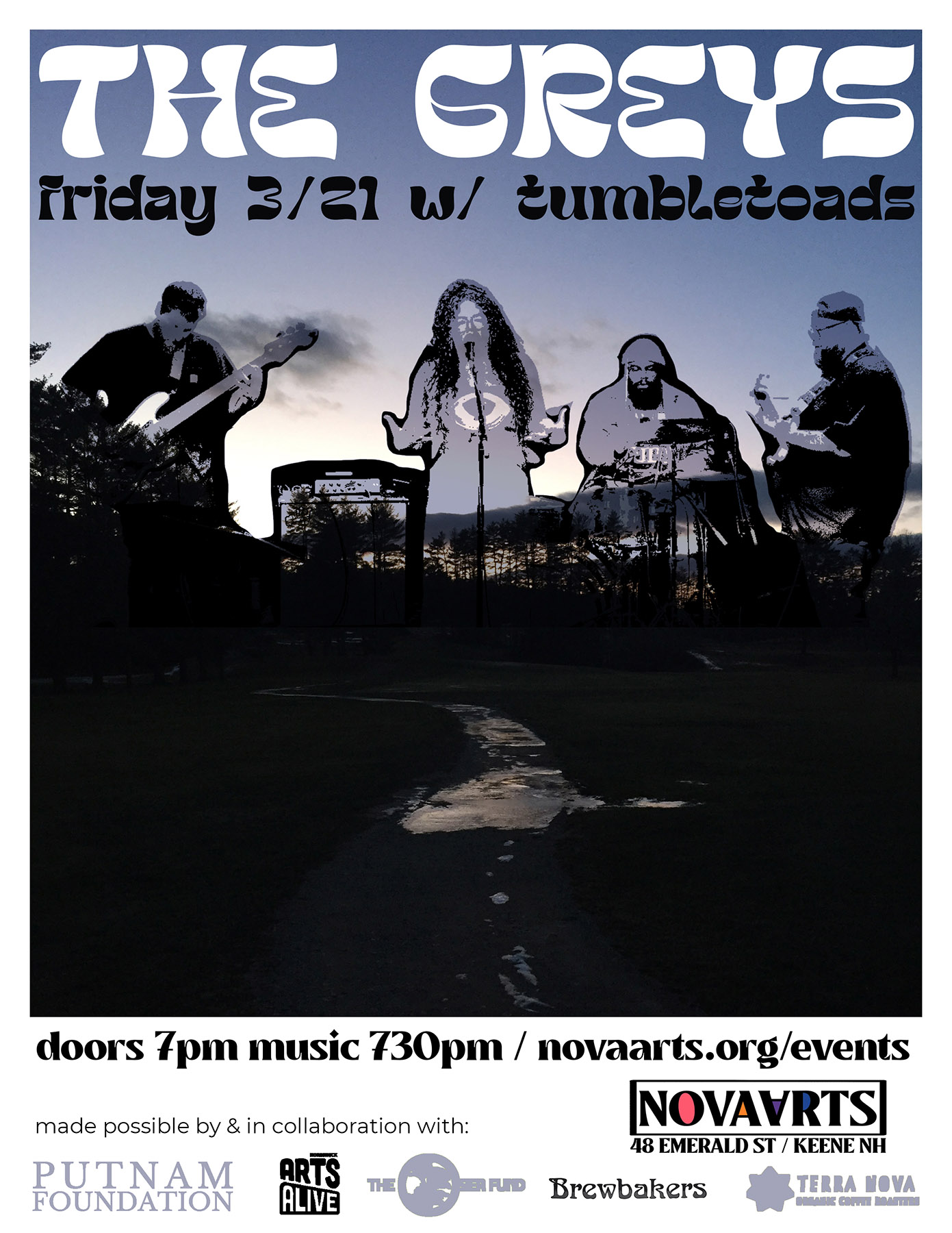 Poster for The Greys