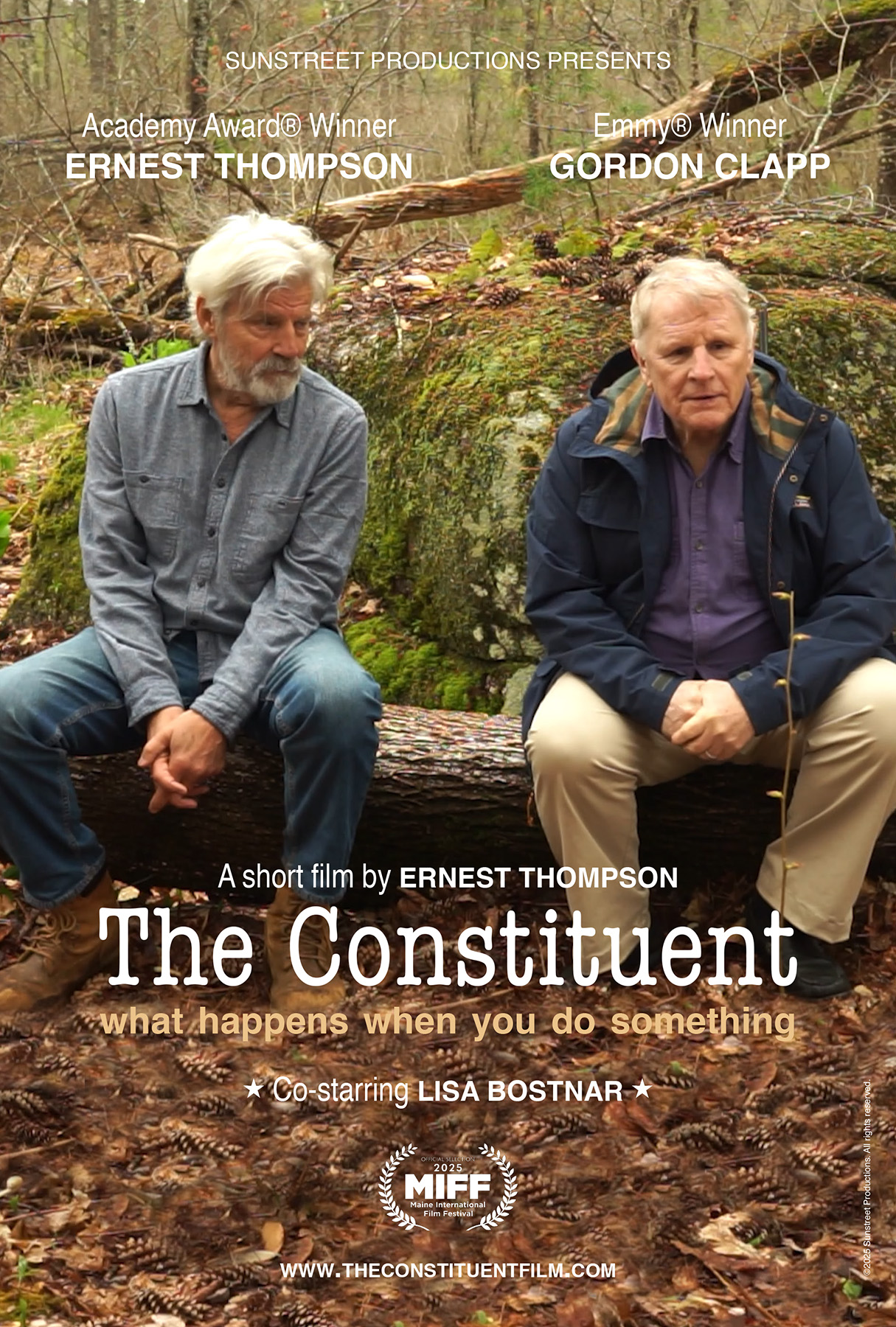 poster for The Constituent