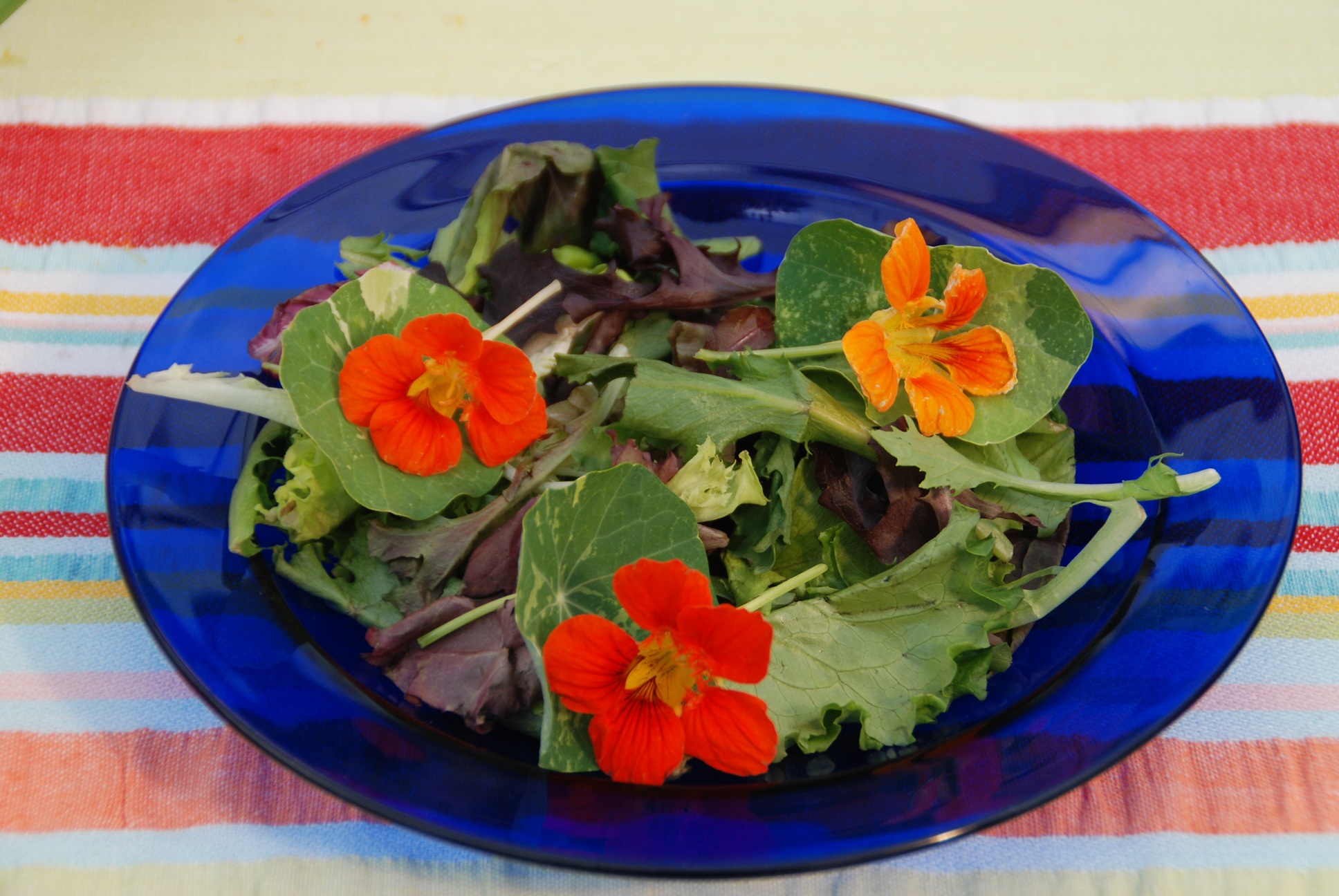 salad with nasturtiums