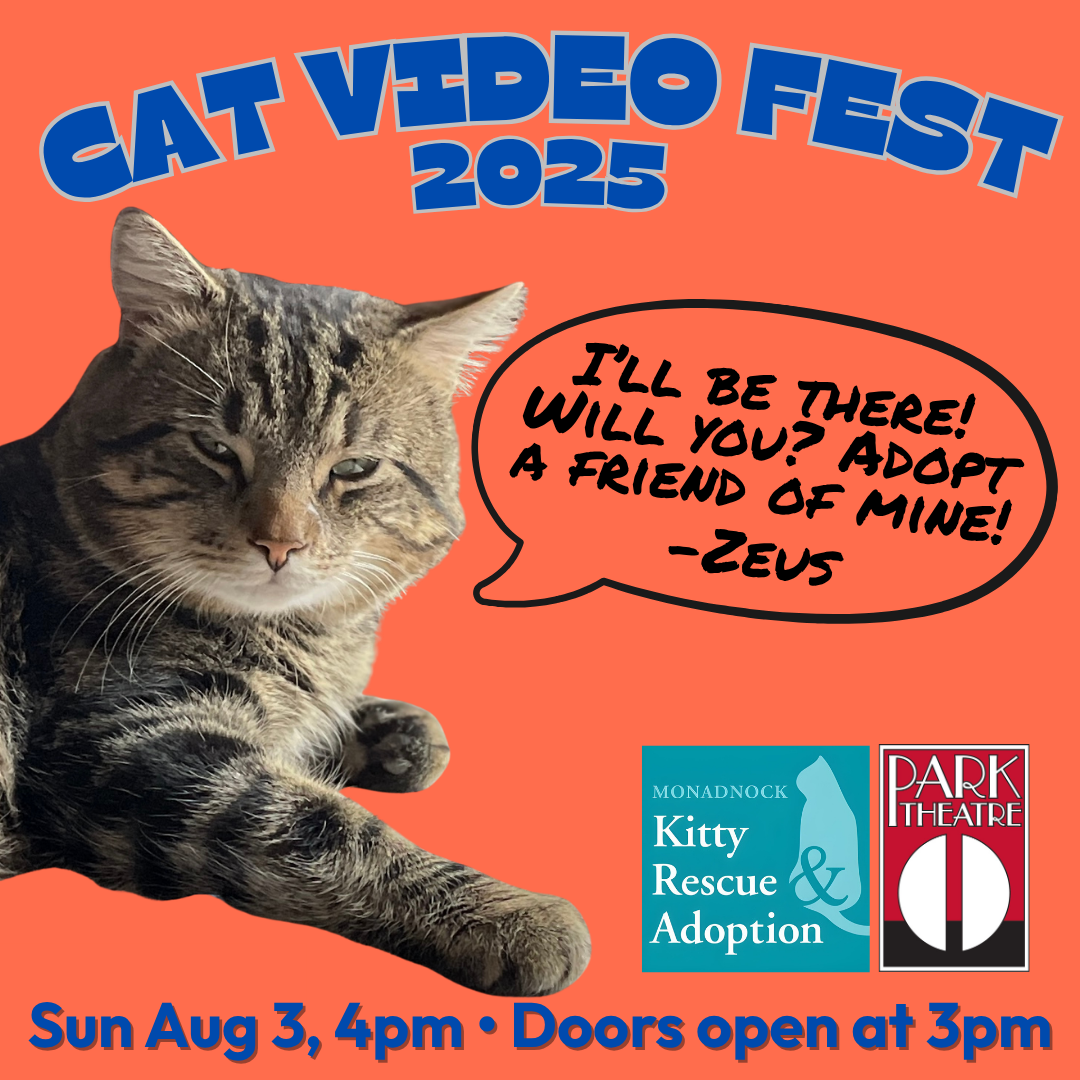 Cat Video Fest poster