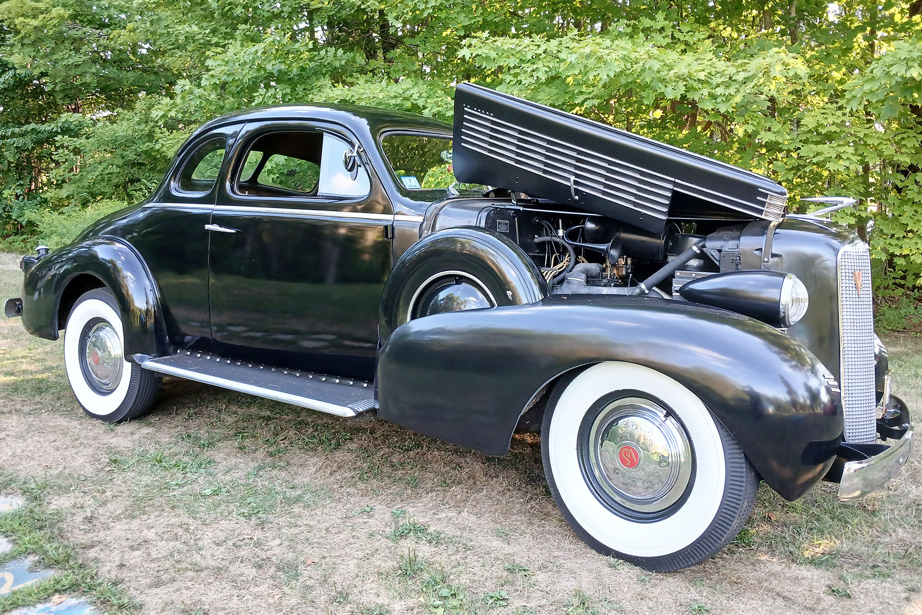 Classic cars night at the park