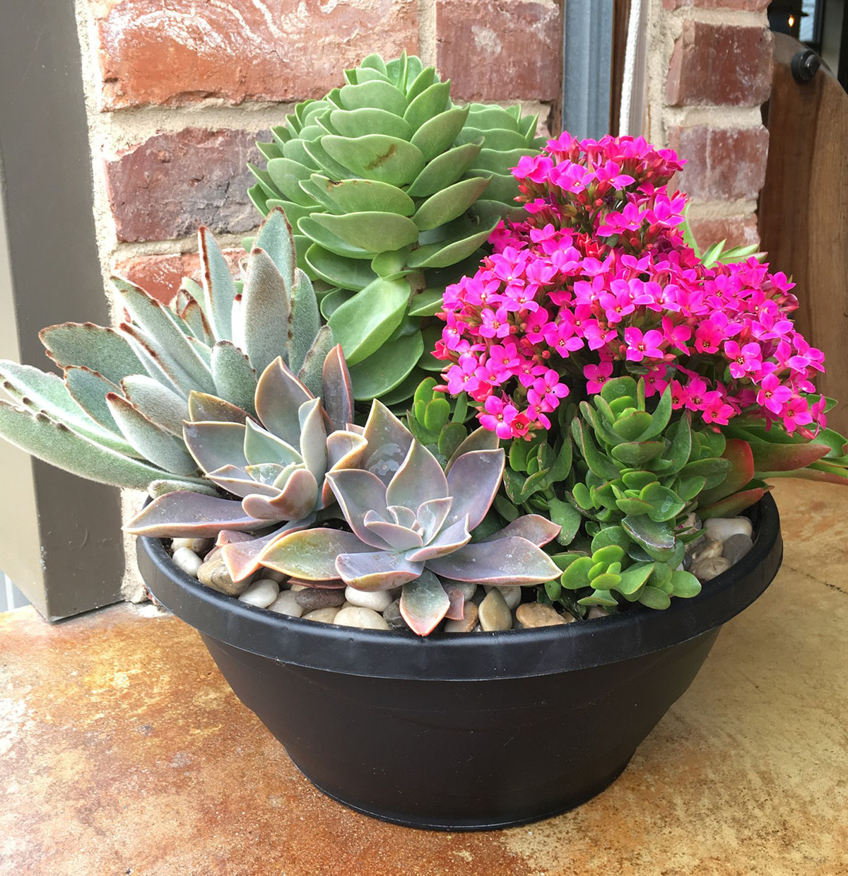 succulents in table centerpiece