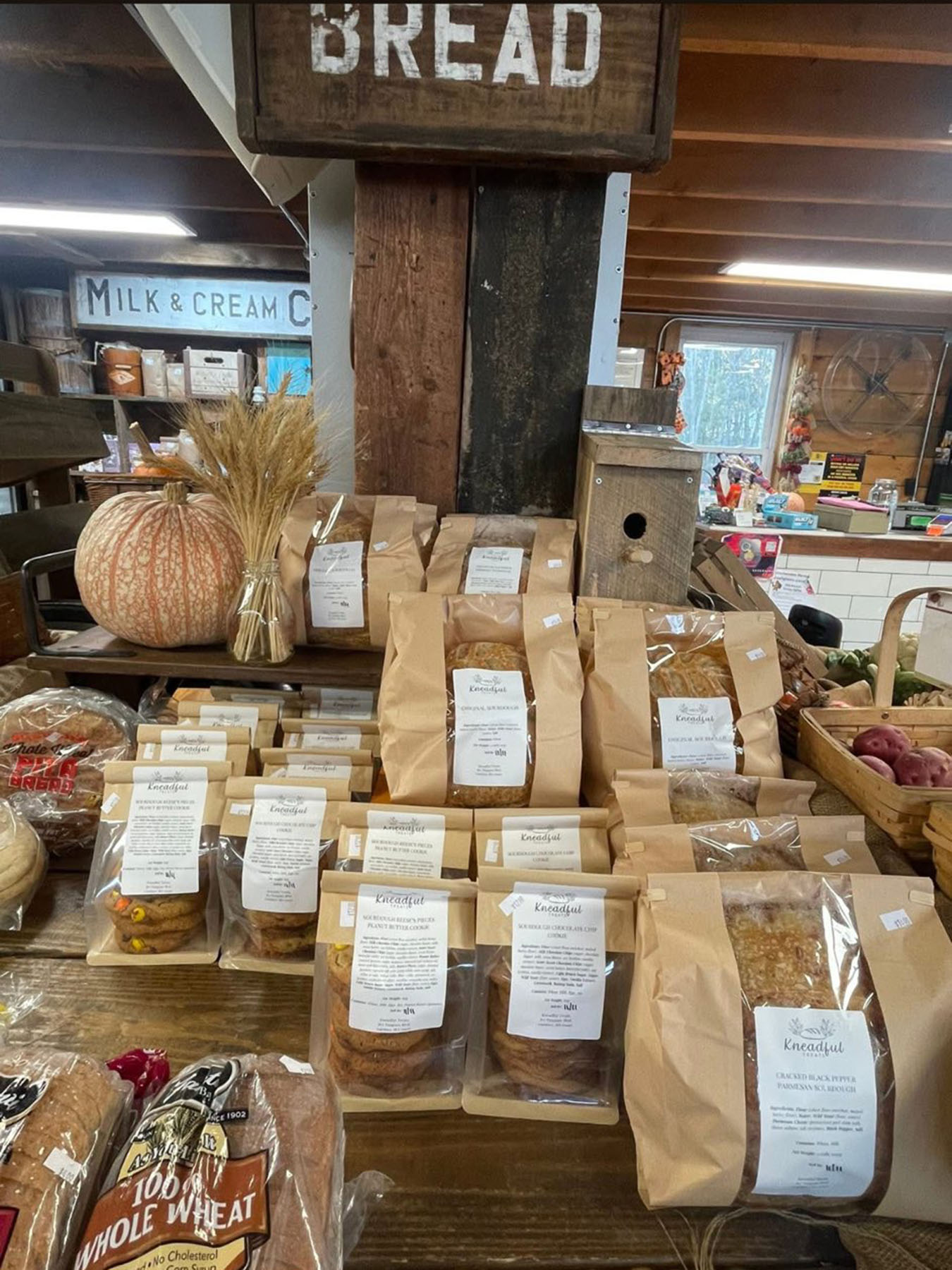 Toy Town Christmas Holiday Tour