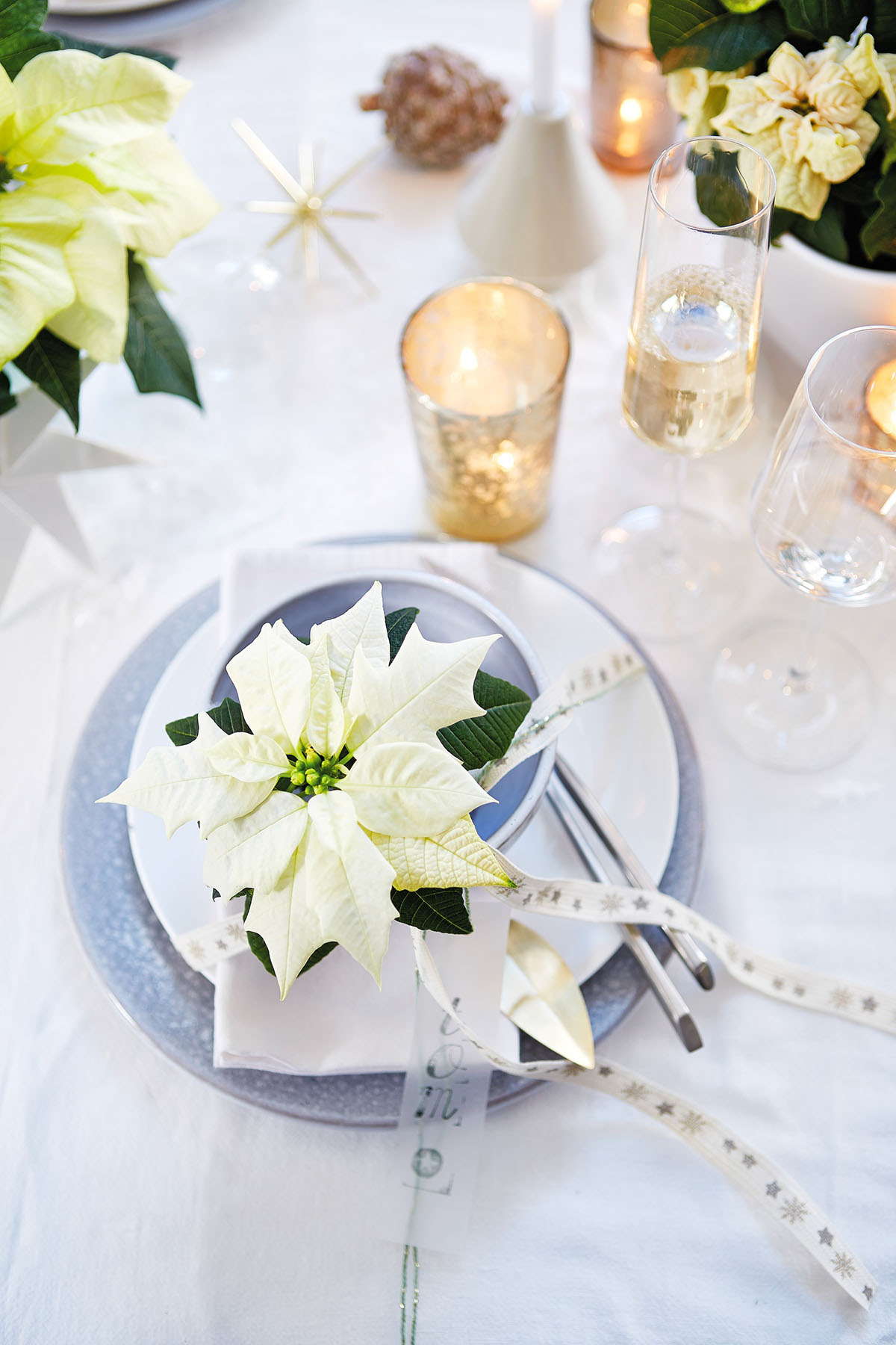 poinsettias as table place markers
