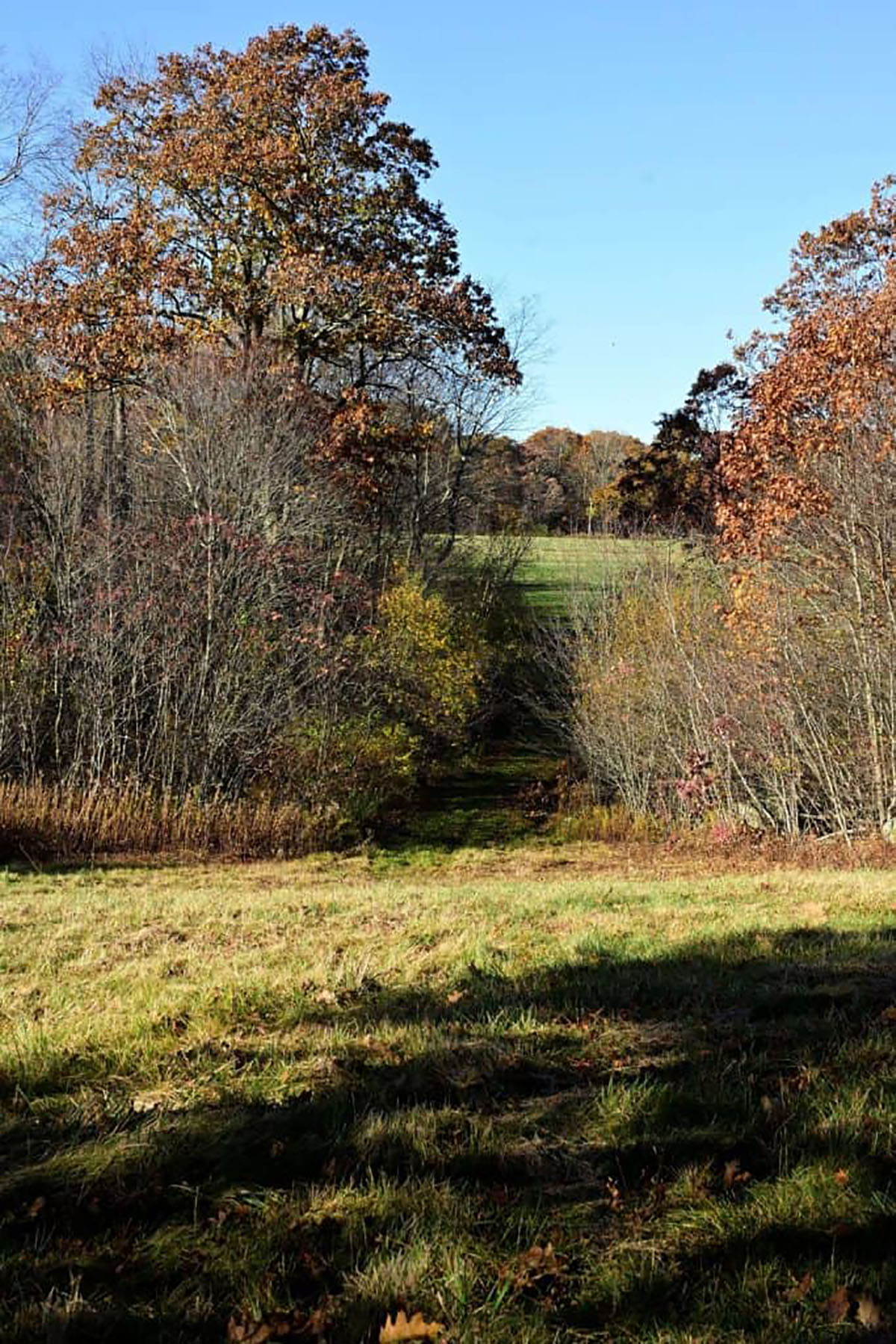 conserved land at High Meadow Farm