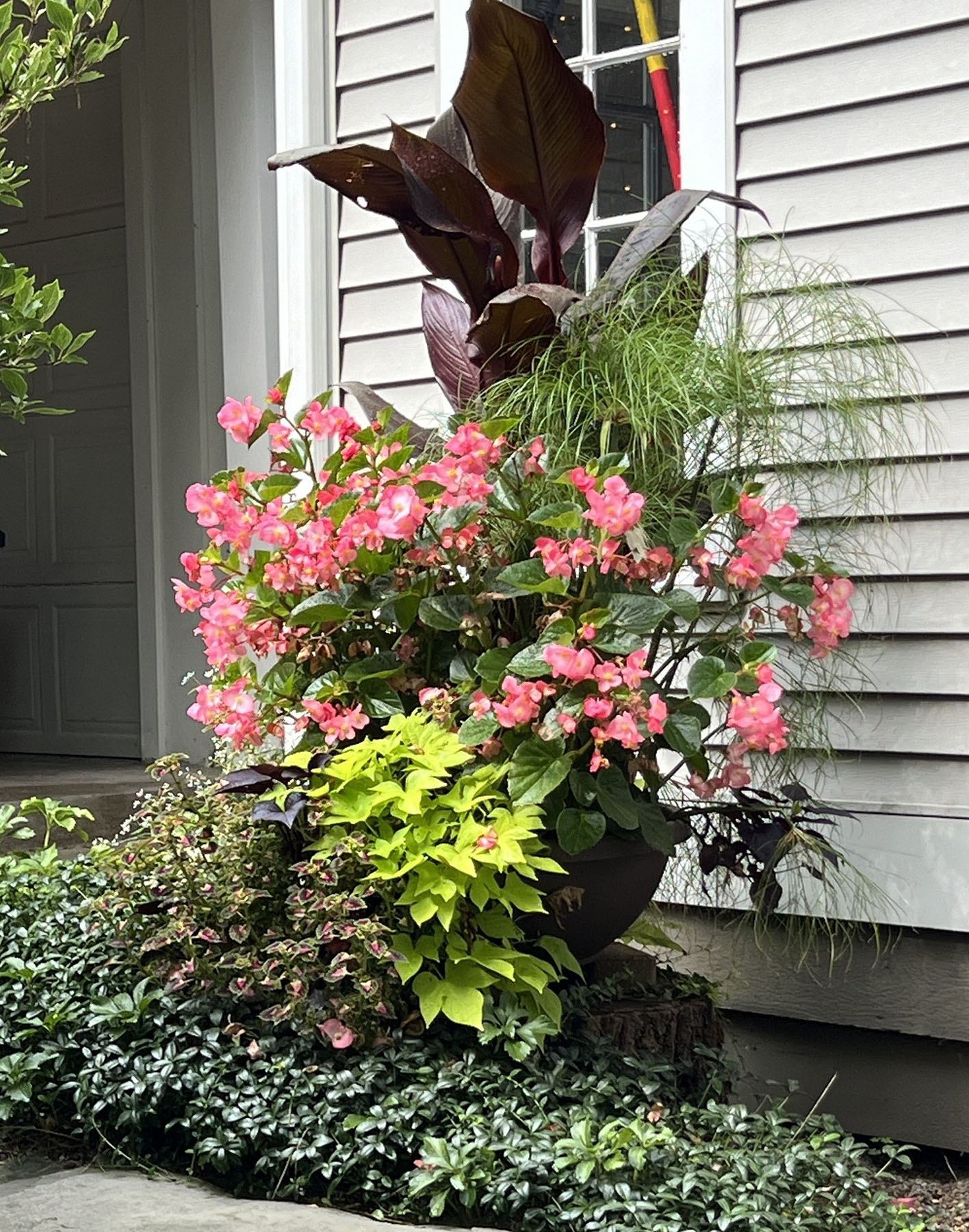 container garden