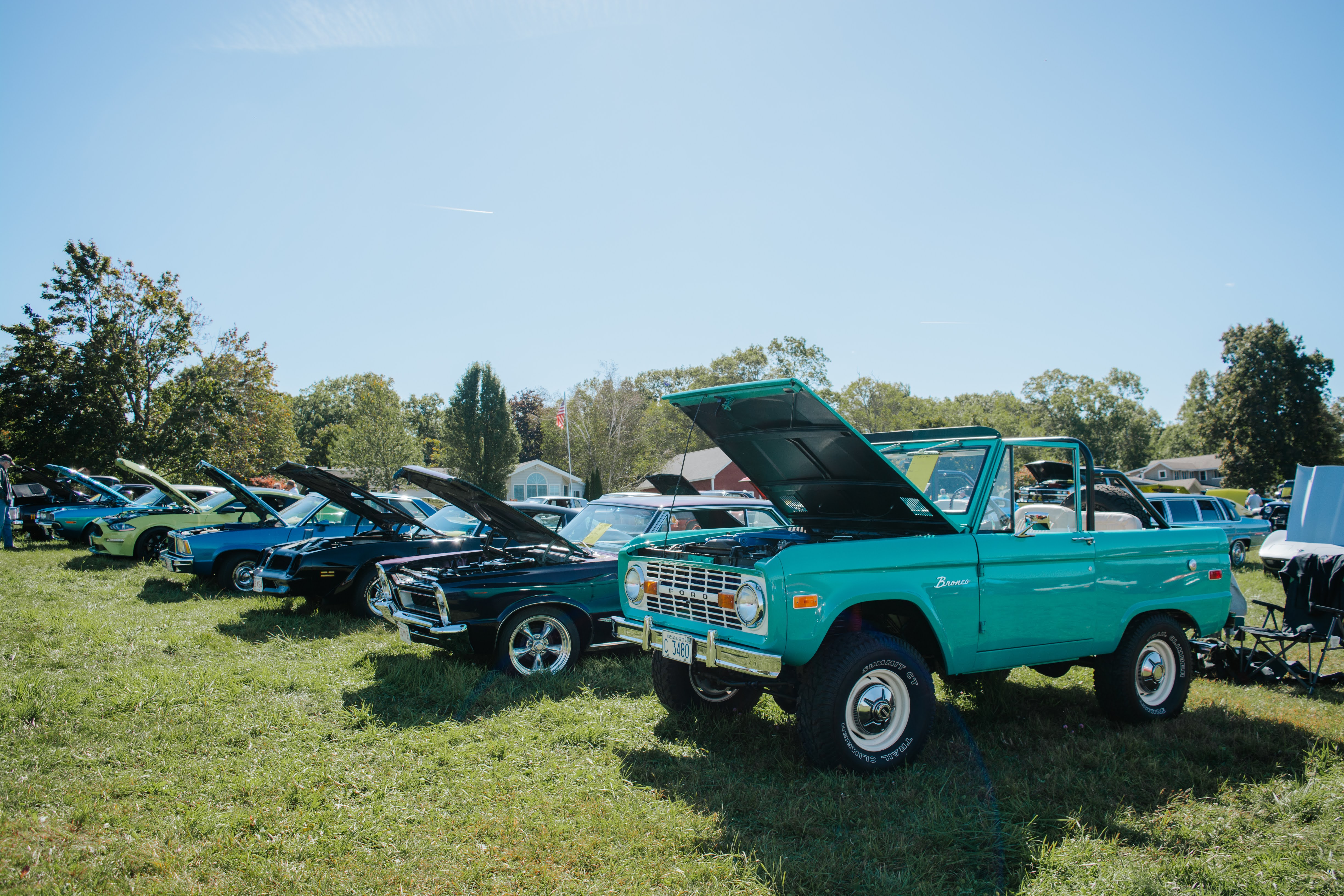 Second Chance Cruise for Critters cars