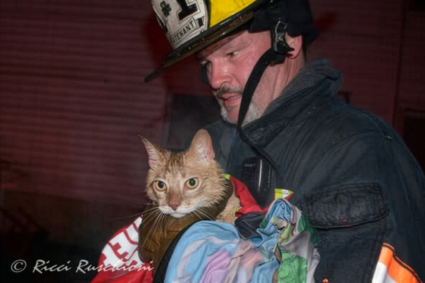 Firefighters at Brown St Fire