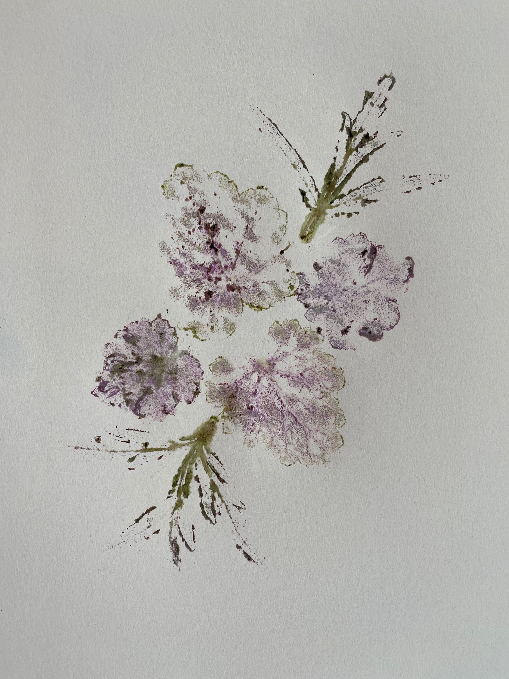 flowers pounded onto watercolor paper
